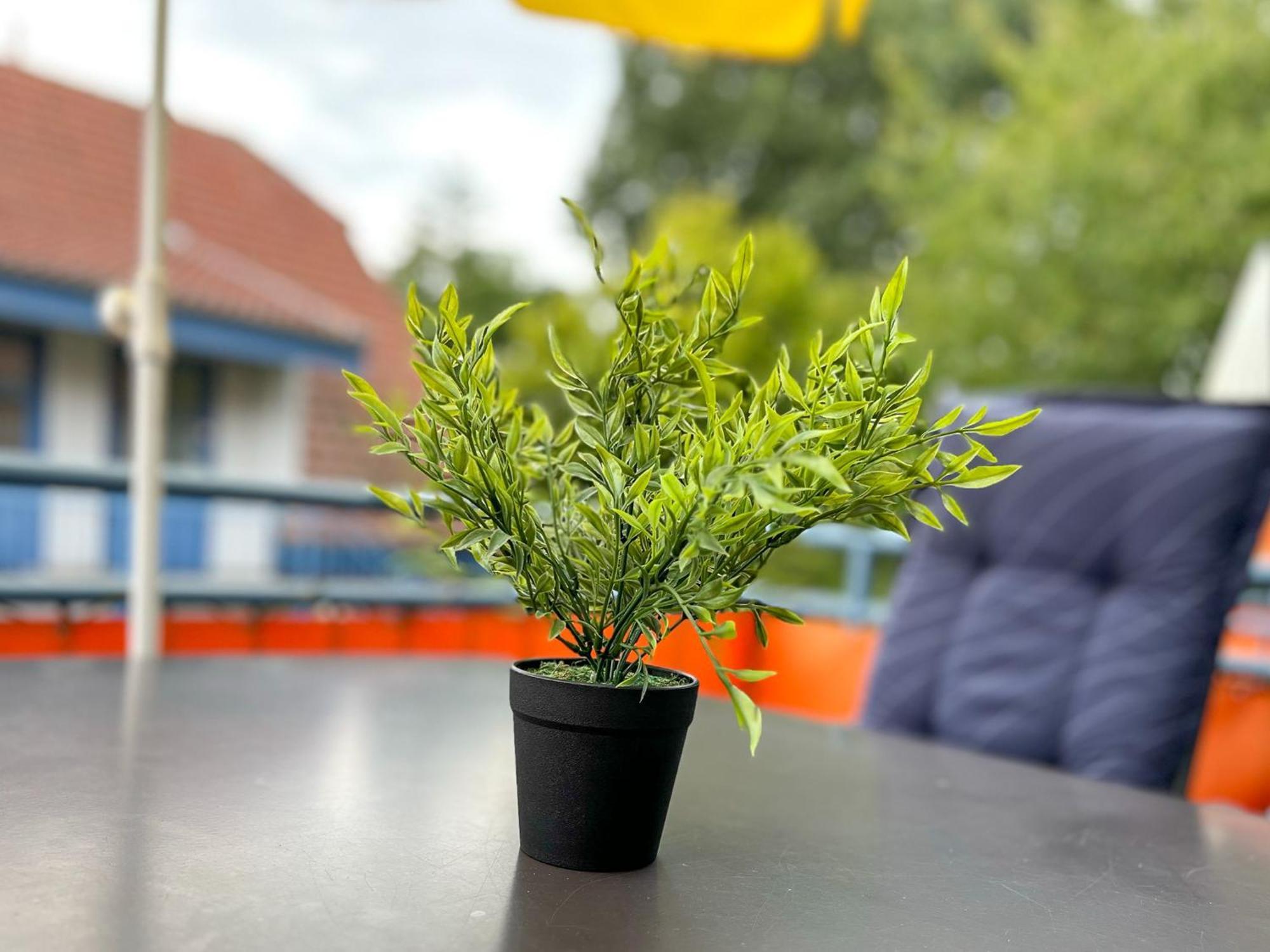 Feriendorf Papillon Wohnung 03-7 Болтенхаген Екстериор снимка